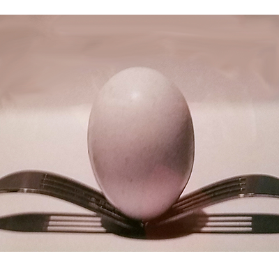 Enlarge A Lonely Egg